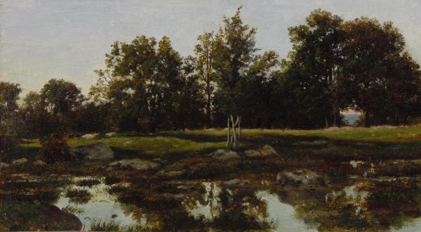 Landscape, Fontainebleau
