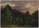 Carl Gustav Carus, The Edge of a Forest at Sunset