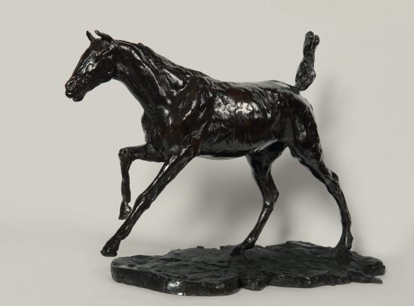 Horse Galloping on Right Foot