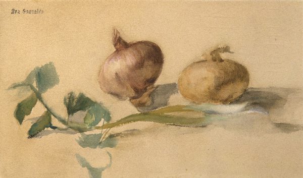 Still life with two onions