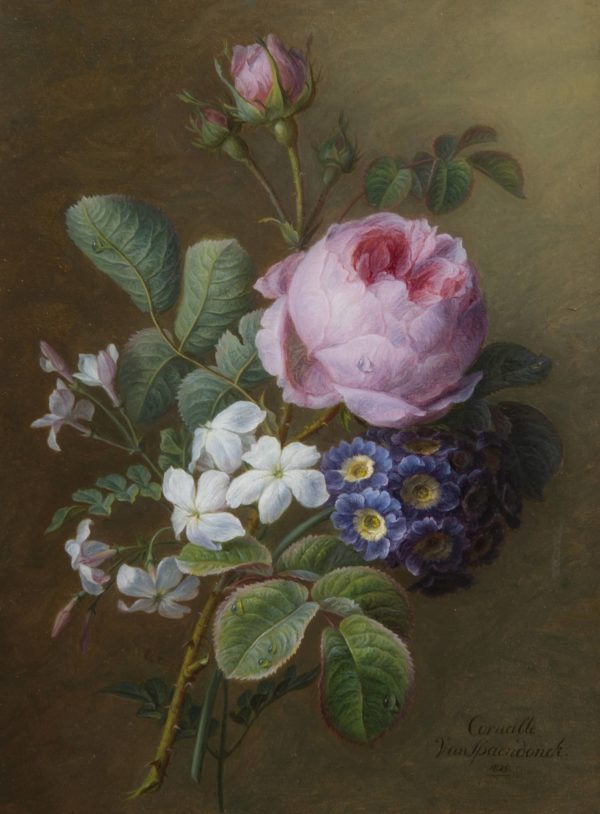 Cornelis van Spaendonck, Bouquet de roses anciennes, jasmins et primevères